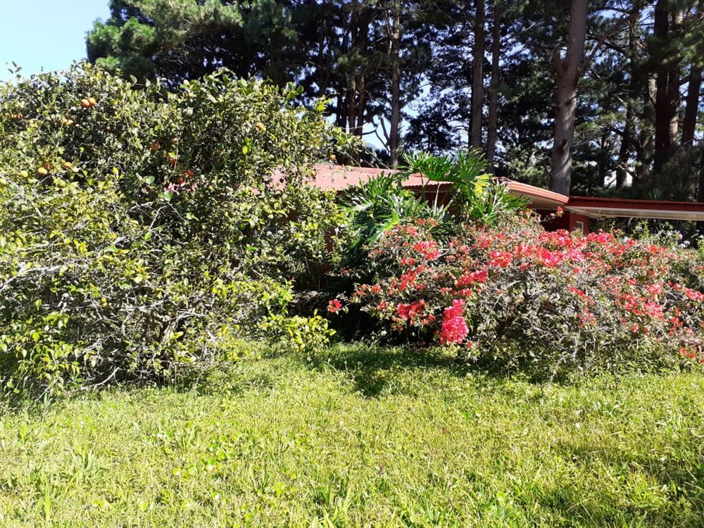 sold Affordable Building Site Lot for Sale in El Santuario next to Alto Lino, Boquete photo 9