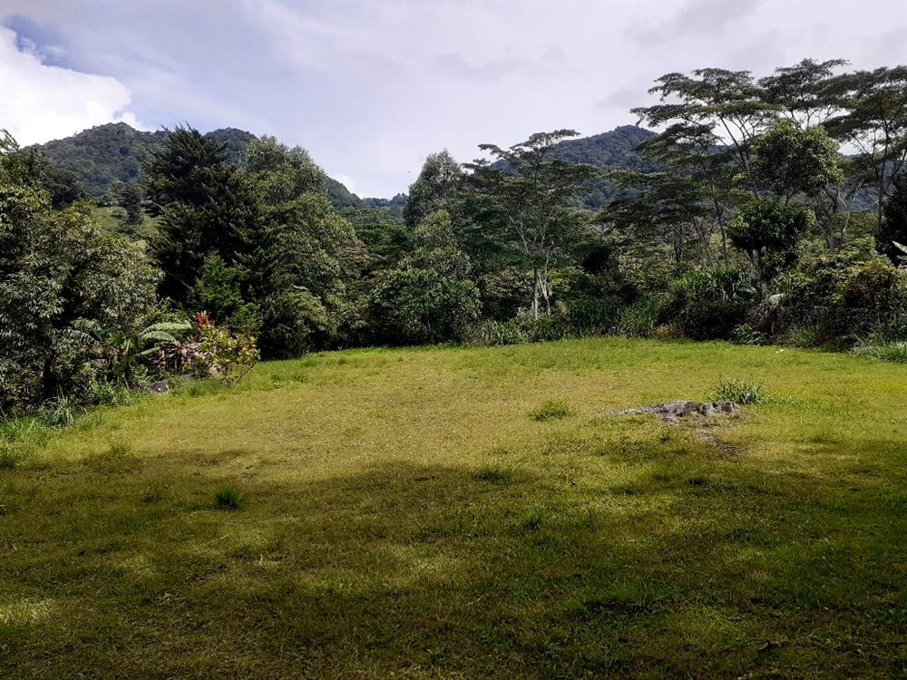 sold Lot for Sale in Lush and Beautiful Palo Alto, Boquete, Panama photo 2