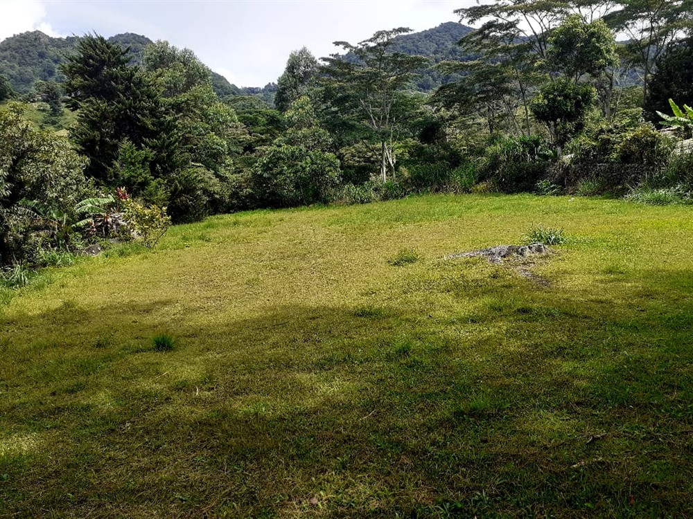 sold Lot for Sale in Lush and Beautiful Palo Alto, Boquete, Panama photo 3