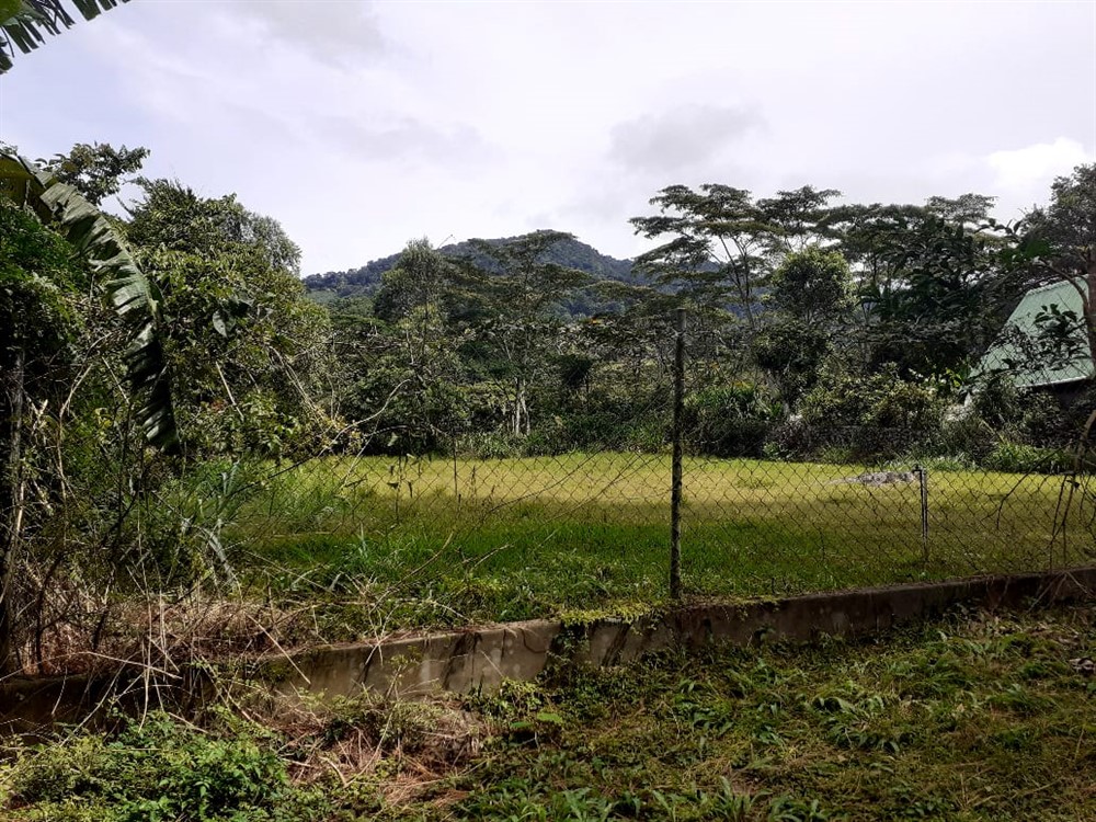 sold Lot for Sale in Lush and Beautiful Palo Alto, Boquete, Panama photo 4
