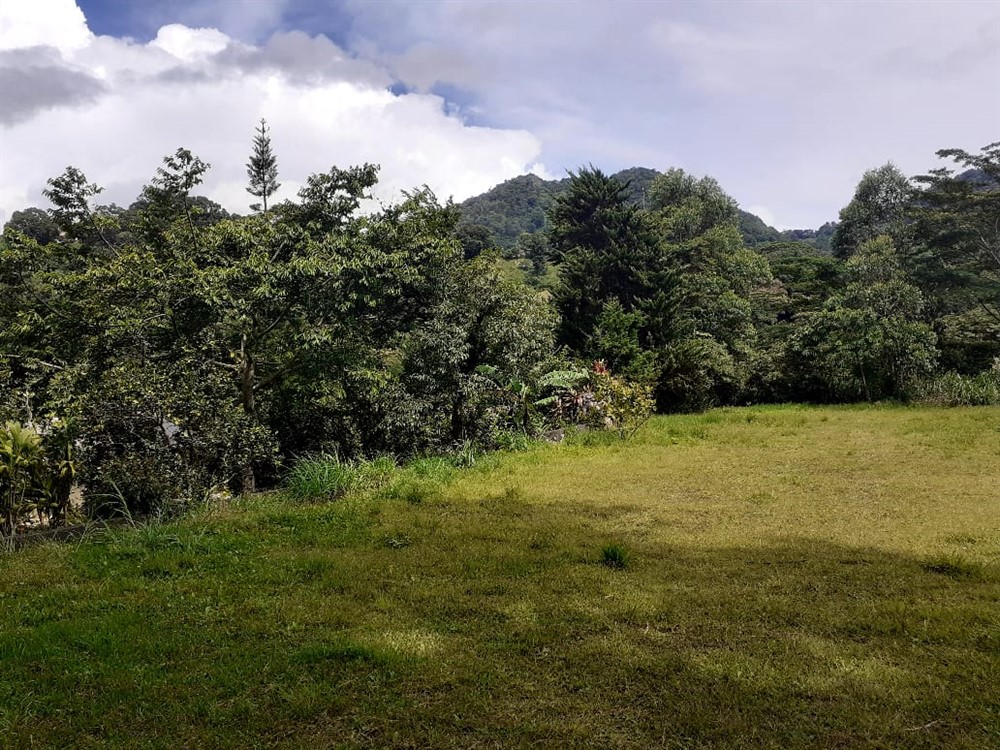 sold Lot for Sale in Lush and Beautiful Palo Alto, Boquete, Panama photo 5