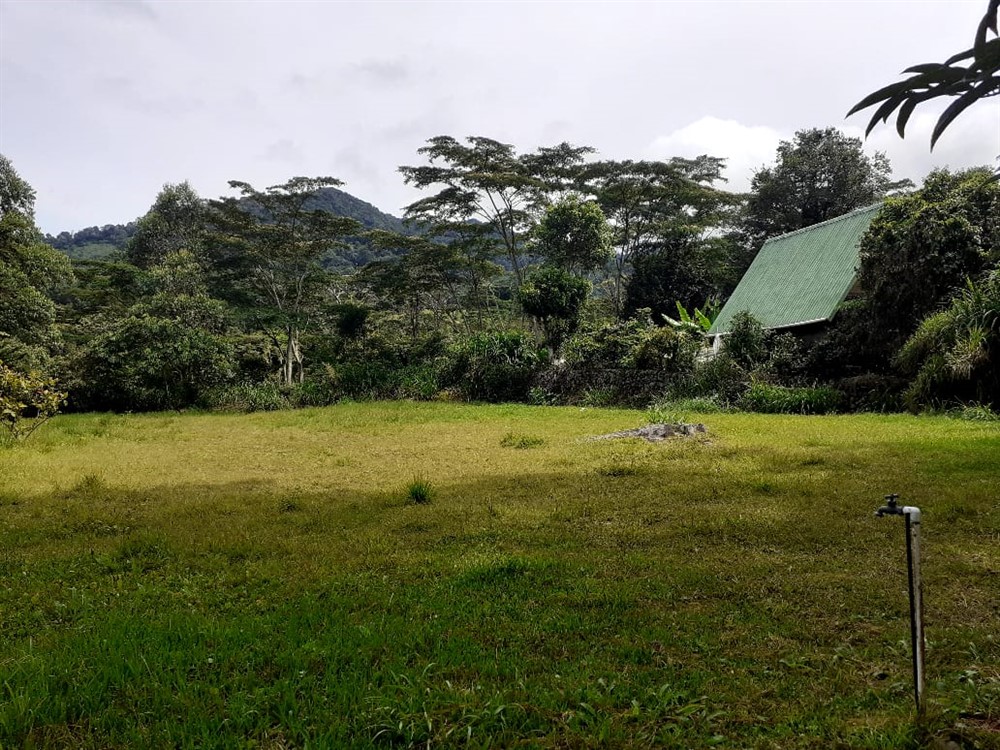 sold Lot for Sale in Lush and Beautiful Palo Alto, Boquete, Panama photo 6
