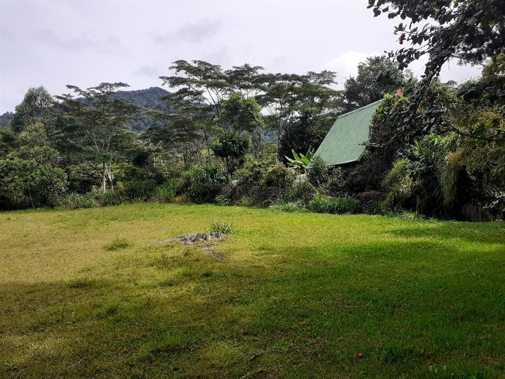 sold Lot for Sale in Lush and Beautiful Palo Alto, Boquete, Panama photo 7