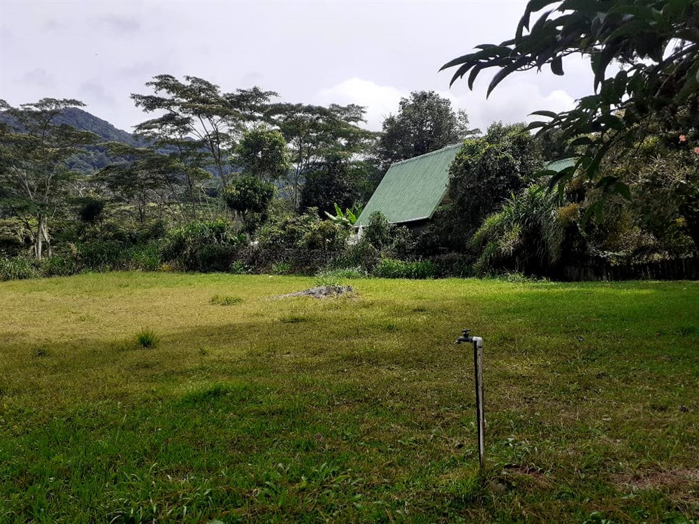 sold Lot for Sale in Lush and Beautiful Palo Alto, Boquete, Panama photo 8