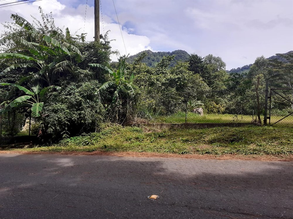 sold Lot for Sale in Lush and Beautiful Palo Alto, Boquete, Panama photo 9