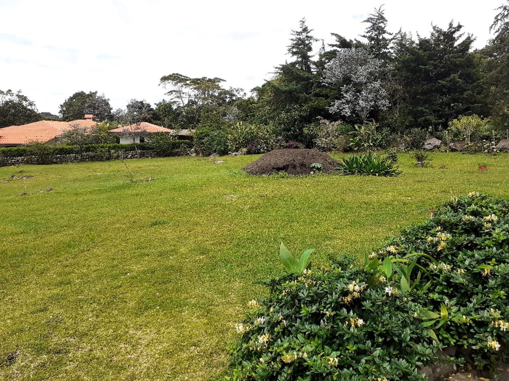 sold Lot for Sale in Panamonte Estates, Boquete, Panama photo 3
