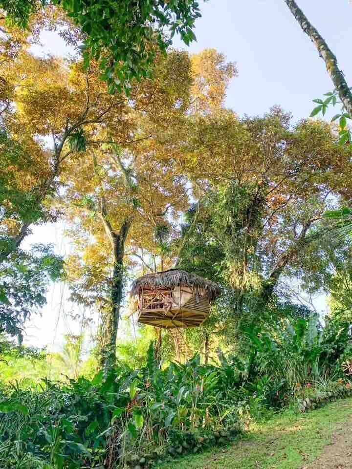 withdrawn - Island Jungle Hotel Resort for Sale in Bocas Del Toro, the famous Panama Caribbean Destination - Resort Hotel en la Selva de una Isla a la Venta en Bocas del Toro, el Famoso Destino Caribeño de Panamá