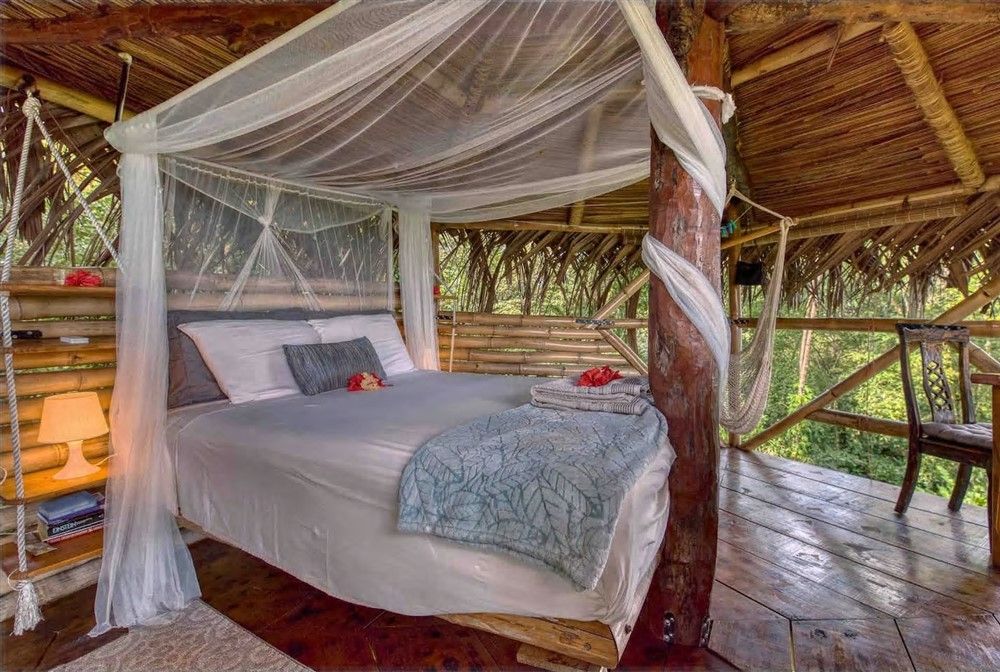 withdrawn - Island Jungle Hotel Resort for Sale in Bocas Del Toro, the famous Panama Caribbean Destination - Resort Hotel en la Selva de una Isla a la Venta en Bocas del Toro, el Famoso Destino Caribeño de Panamá photo 10