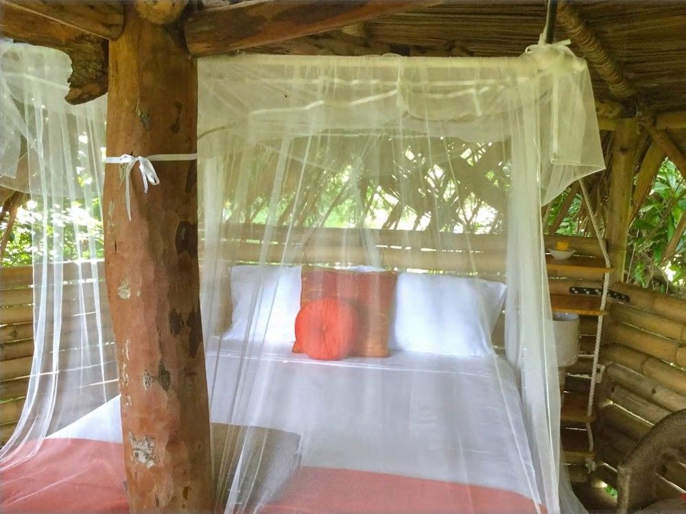 withdrawn - Island Jungle Hotel Resort for Sale in Bocas Del Toro, the famous Panama Caribbean Destination - Resort Hotel en la Selva de una Isla a la Venta en Bocas del Toro, el Famoso Destino Caribeño de Panamá photo 12
