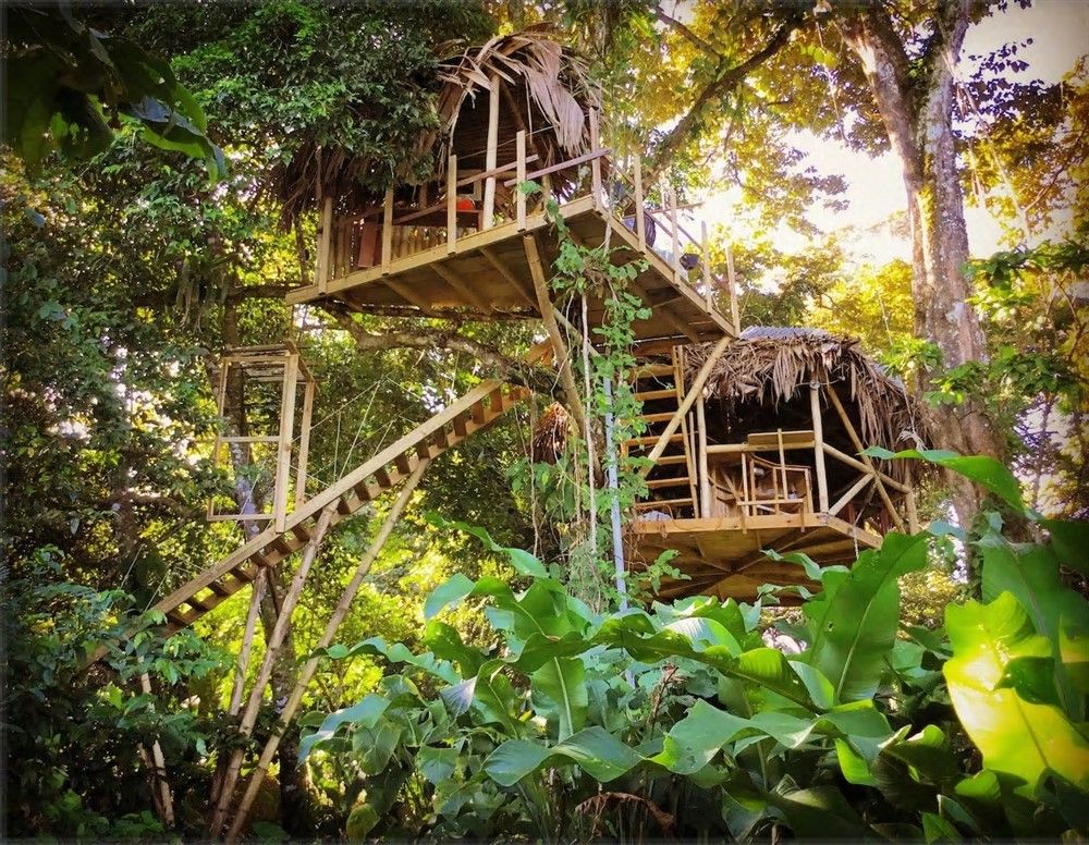 withdrawn - Island Jungle Hotel Resort for Sale in Bocas Del Toro, the famous Panama Caribbean Destination - Resort Hotel en la Selva de una Isla a la Venta en Bocas del Toro, el Famoso Destino Caribeño de Panamá photo 6