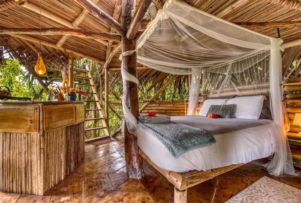 withdrawn - Island Jungle Hotel Resort for Sale in Bocas Del Toro, the famous Panama Caribbean Destination - Resort Hotel en la Selva de una Isla a la Venta en Bocas del Toro, el Famoso Destino Caribeño de Panamá photo 9