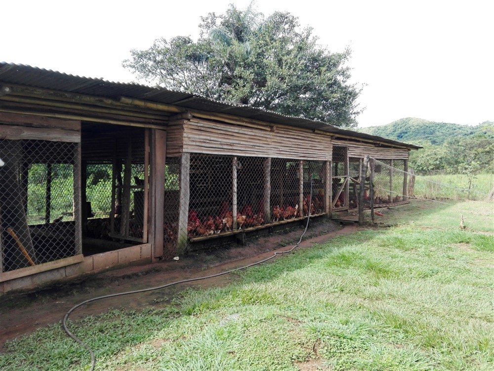 Withdrawn - 3/4 Acre Lot for Sale Close to the Center of Caldera, Boquete, Panama - Has Full Year Stream & Simple House - Tiene Arroyo de Año Completo y Casa Sencilla photo 3