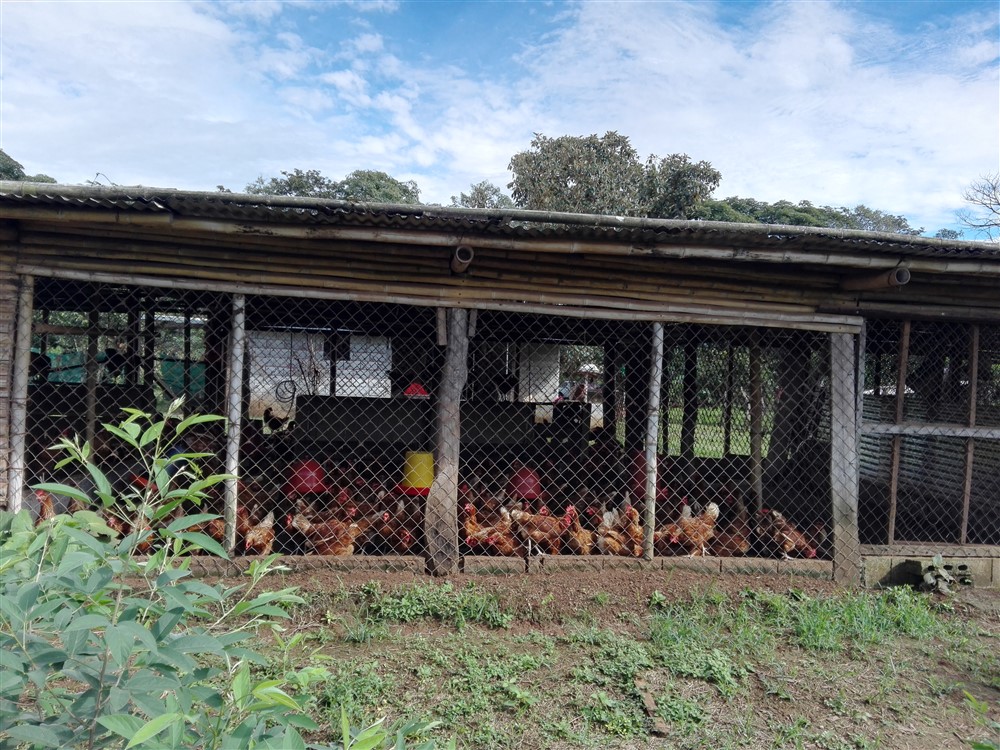 Withdrawn - 3/4 Acre Lot for Sale Close to the Center of Caldera, Boquete, Panama - Has Full Year Stream & Simple House - Tiene Arroyo de Año Completo y Casa Sencilla photo 7