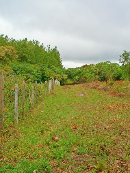 withdrawn Commercial Potential Land for Sale in Alto Boquete Close to Main Road & Downtown Boquete – Choose from 2 to 7 Hectares photo 10