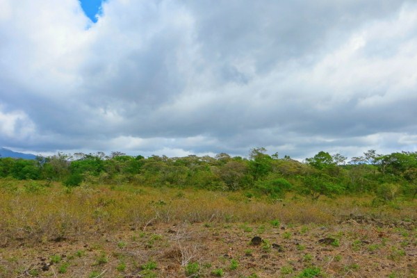 withdrawn Commercial Potential Land for Sale in Alto Boquete Close to Main Road & Downtown Boquete – Choose from 2 to 7 Hectares photo 12