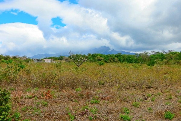 withdrawn Commercial Potential Land for Sale in Alto Boquete Close to Main Road & Downtown Boquete – Choose from 2 to 7 Hectares photo 2