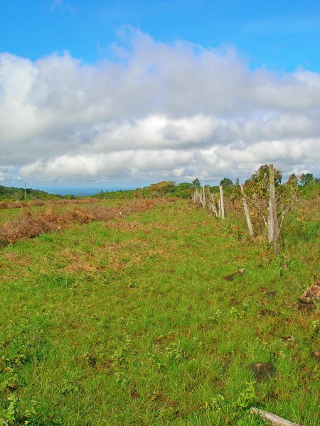 withdrawn Commercial Potential Land for Sale in Alto Boquete Close to Main Road & Downtown Boquete – Choose from 2 to 7 Hectares photo 6
