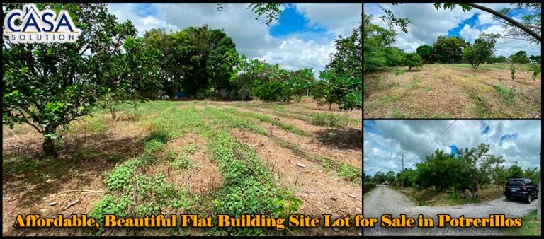 Affordable, Beautiful Flat Building Site Lot for Sale in Potrerillos Abajo, Chiriqui