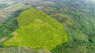 Reforested Property with Cabin, Open-Plan House, and Waterfalls for Sale near Altos del Maria in La Laguna de San Carlos – 81 Acres Near the Pacific Beaches