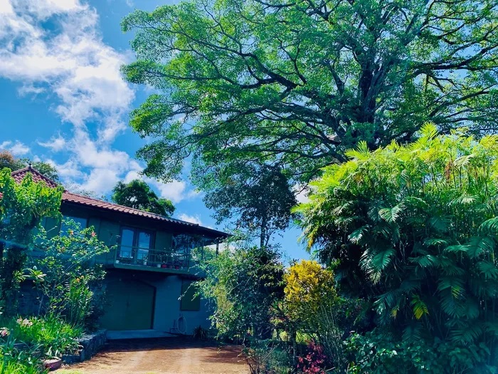 Withdrawn - Fabulous Tropical Mountain Home for Sale on 1.3 Acres in Jaramillo, Boquete photo 2