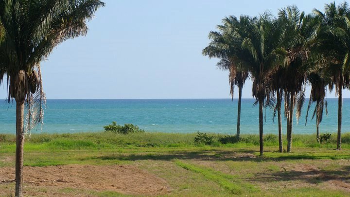 Huge Beachfront Development Land Opportunity for Sale in Palmar Sur, Puerto Armuelles, Chiriqui Province photo 2
