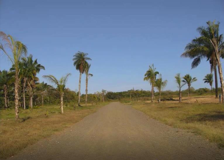 Huge Beachfront Development Land Opportunity for Sale in Palmar Sur, Puerto Armuelles, Chiriqui Province photo 7