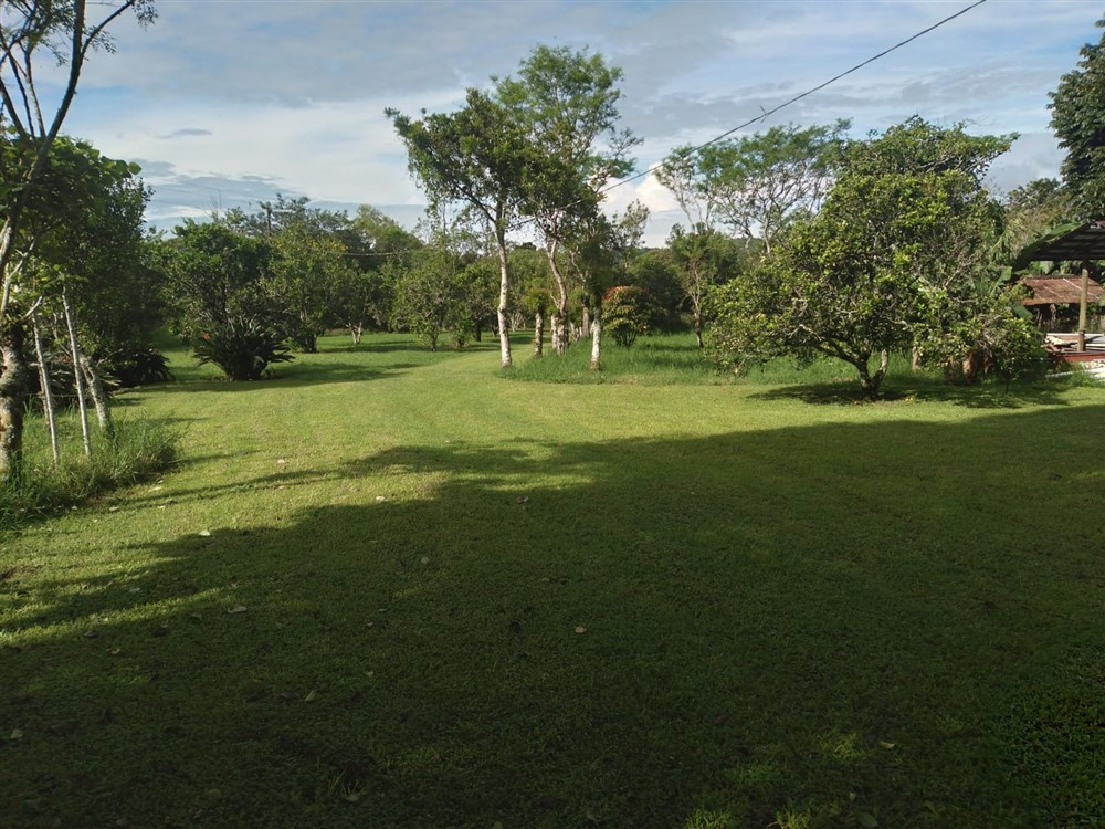 Mountain House with Beautiful Garden for Sale in Los Naranjos, Volcan, Chiriqui Province - Furnishing Included photo 5