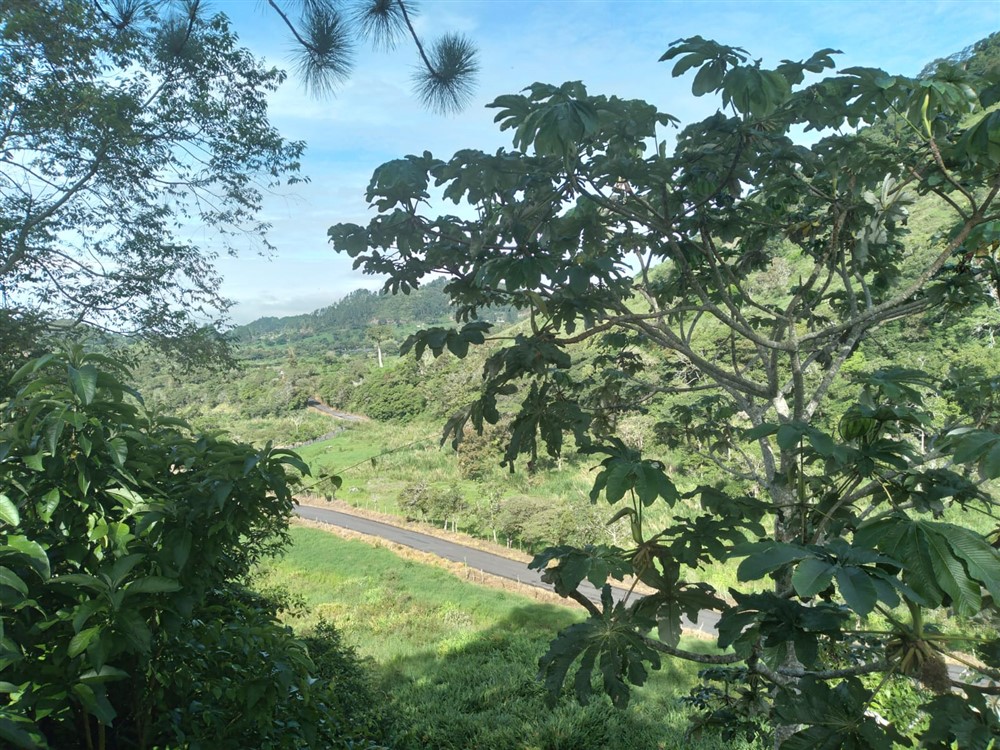Mountain House with Beautiful Garden for Sale in Los Naranjos, Volcan, Chiriqui Province - Furnishing Included photo 6