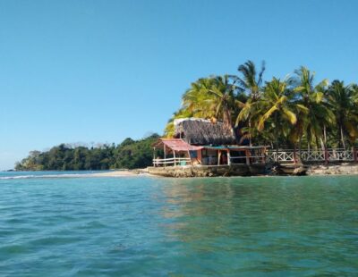 Colon