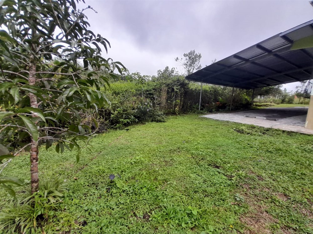 3-Bedroom House for Sale in Palma Real, Dolega District, Chiriqui photo 3