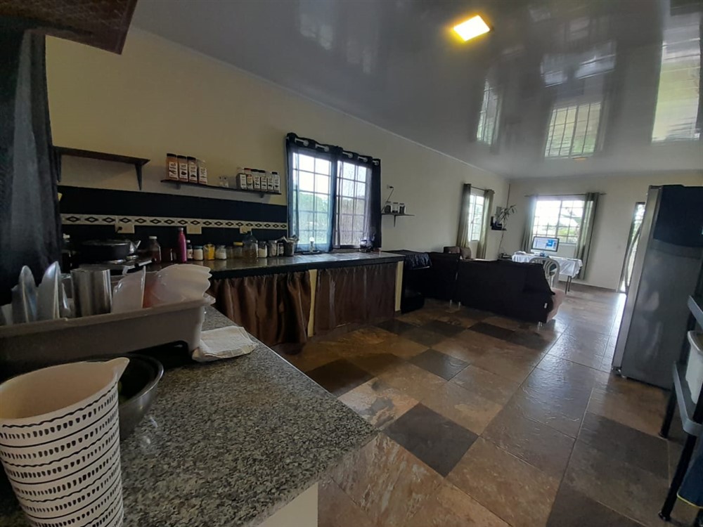 Withdrawn- Affordable 2-Bedroom House for Sale in Palma Real, Rovira, Dolega District, Chiriqui photo 9