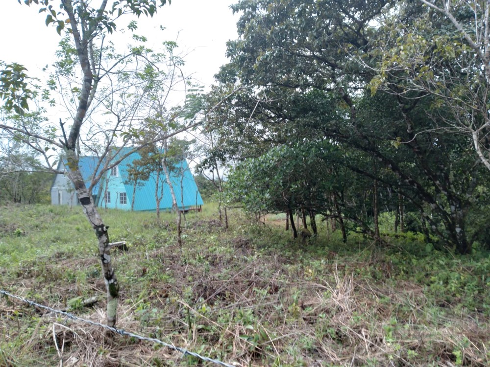 Just $20,000! Affordable Potrerillos Arriba Lot with Mountain Stream for Sale in Dolega, Chiriqui photo 12