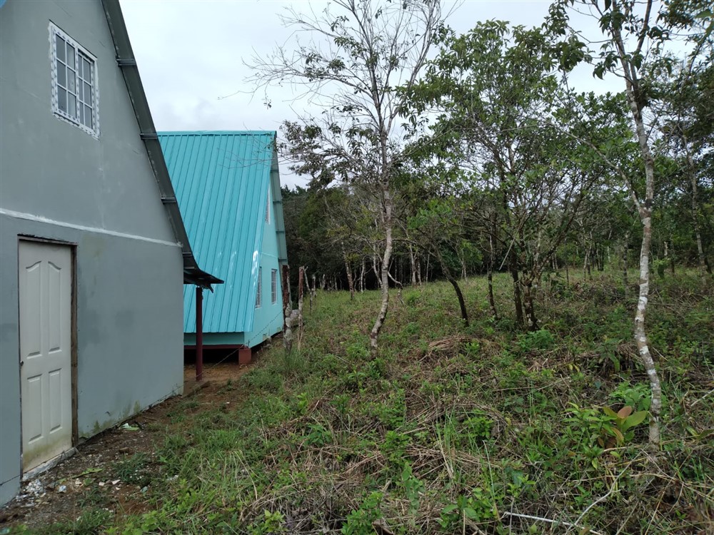 Just $20,000! Affordable Potrerillos Arriba Lot with Mountain Stream for Sale in Dolega, Chiriqui photo 3