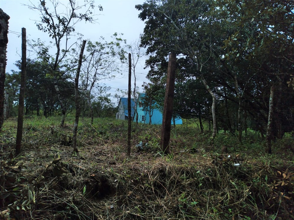 Just $20,000! Affordable Potrerillos Arriba Lot with Mountain Stream for Sale in Dolega, Chiriqui photo 8
