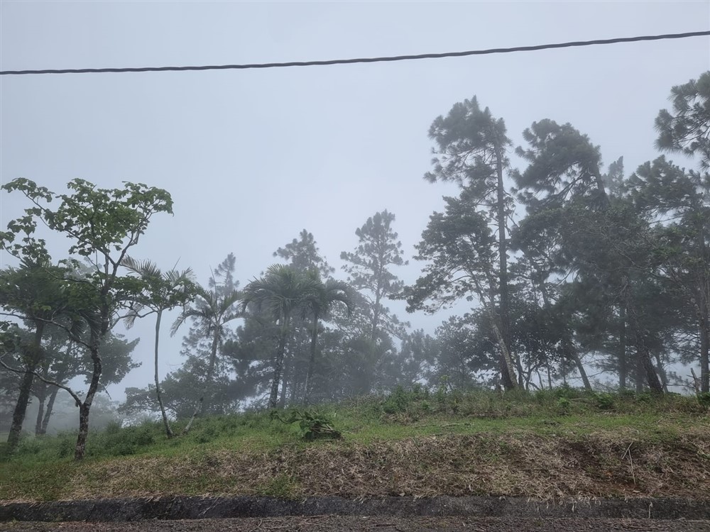 Sold by Owner - Beautiful Mountain Lot in Sora, Chame District, Near the Coronado Area, Panama West Province photo 11