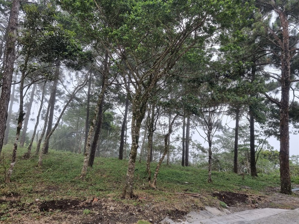 Sold by Owner - Beautiful Mountain Lot in Sora, Chame District, Near the Coronado Area, Panama West Province