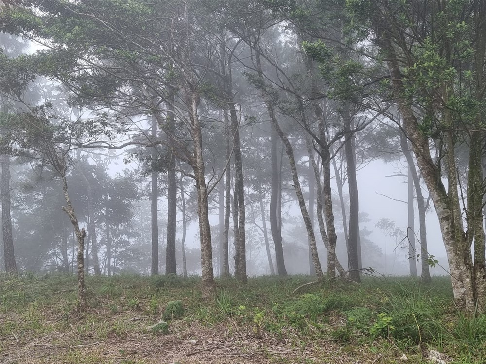 Sold by Owner - Beautiful Mountain Lot in Sora, Chame District, Near the Coronado Area, Panama West Province photo 3