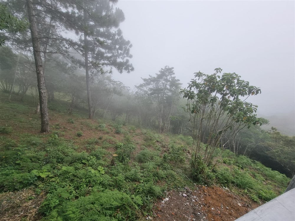Sold by Owner - Beautiful Mountain Lot in Sora, Chame District, Near the Coronado Area, Panama West Province photo 4