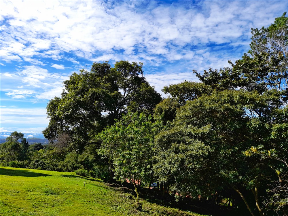 Withdrawn - Beautiful & Prime Volcancito Lot For Sale in Boquete, Chiriqui photo 11
