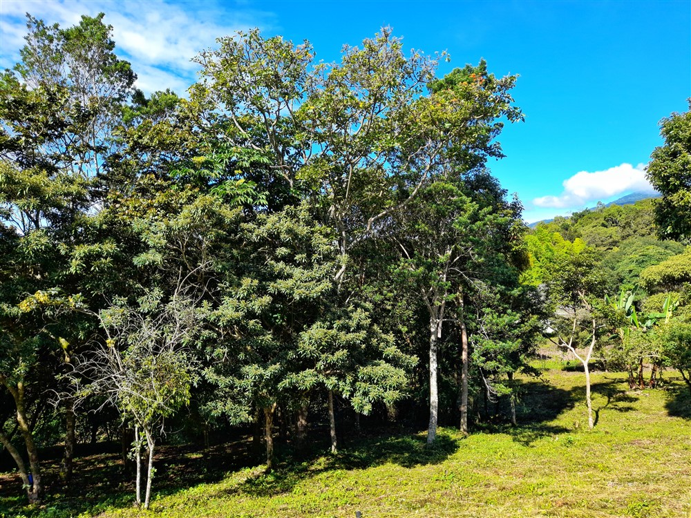 Withdrawn - Beautiful & Prime Volcancito Lot For Sale in Boquete, Chiriqui photo 12