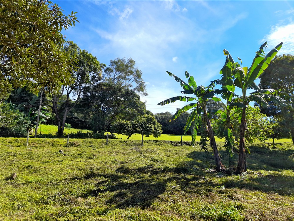 Withdrawn - Beautiful & Prime Volcancito Lot For Sale in Boquete, Chiriqui photo 3