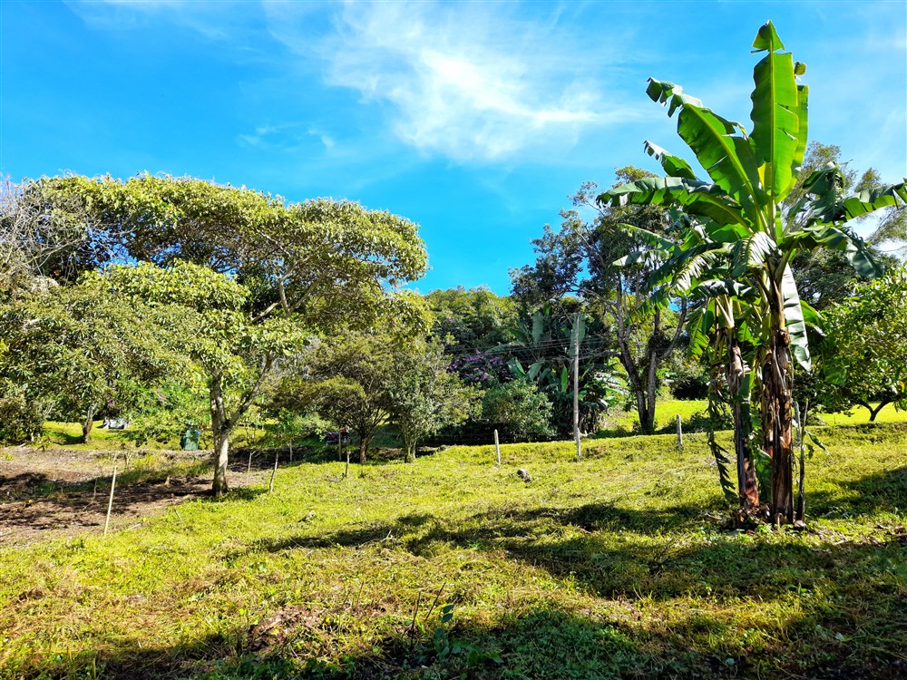 Withdrawn - Beautiful & Prime Volcancito Lot For Sale in Boquete, Chiriqui photo 4