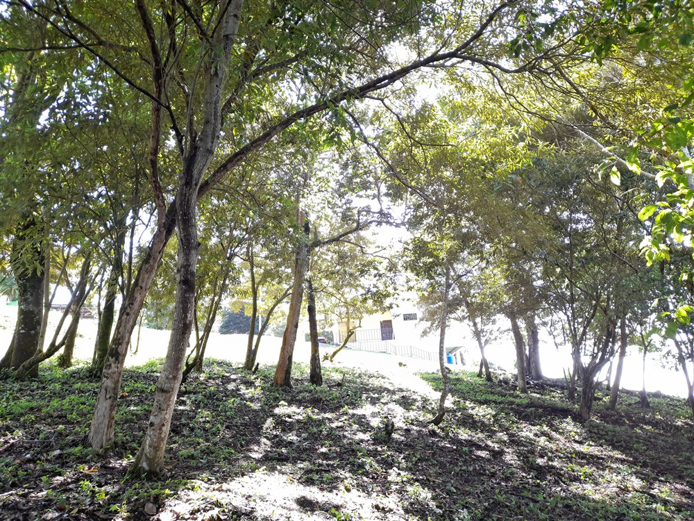 Withdrawn - Beautiful & Prime Volcancito Lot For Sale in Boquete, Chiriqui photo 5