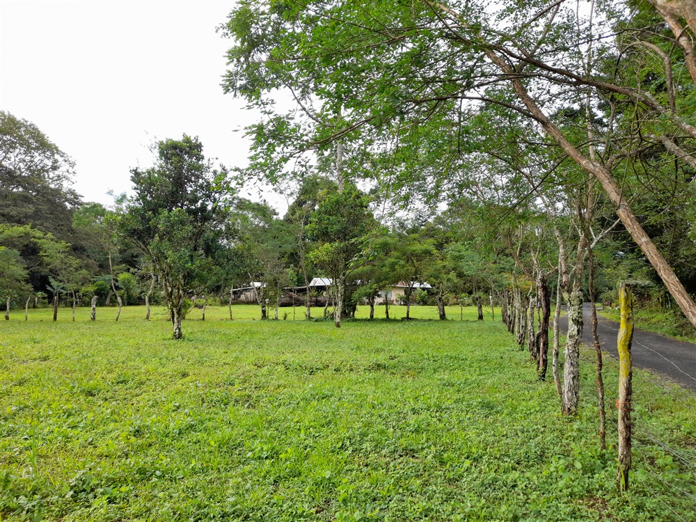 Flat Lot with Lovely Stream for Sale in Potrerillos Arriba, Chiriqui photo 10