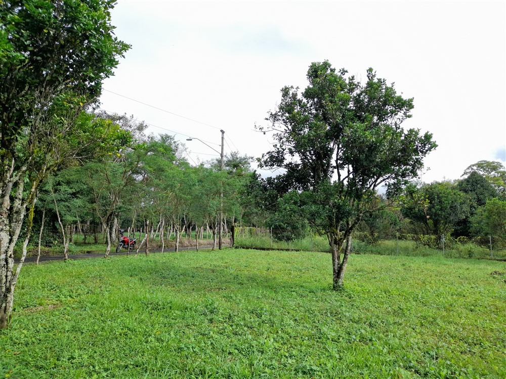 Flat Lot with Lovely Stream for Sale in Potrerillos Arriba, Chiriqui photo 12