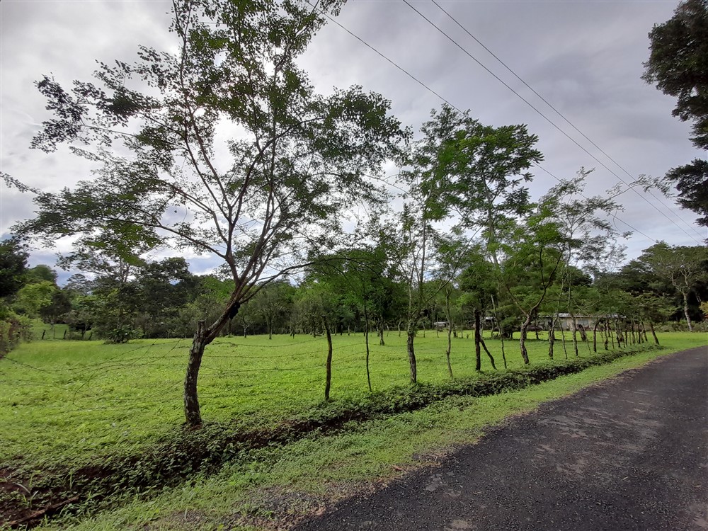 Flat Lot with Lovely Stream for Sale in Potrerillos Arriba, Chiriqui photo 3