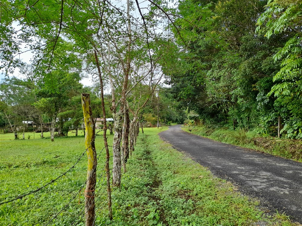 Flat Lot with Lovely Stream for Sale in Potrerillos Arriba, Chiriqui photo 4