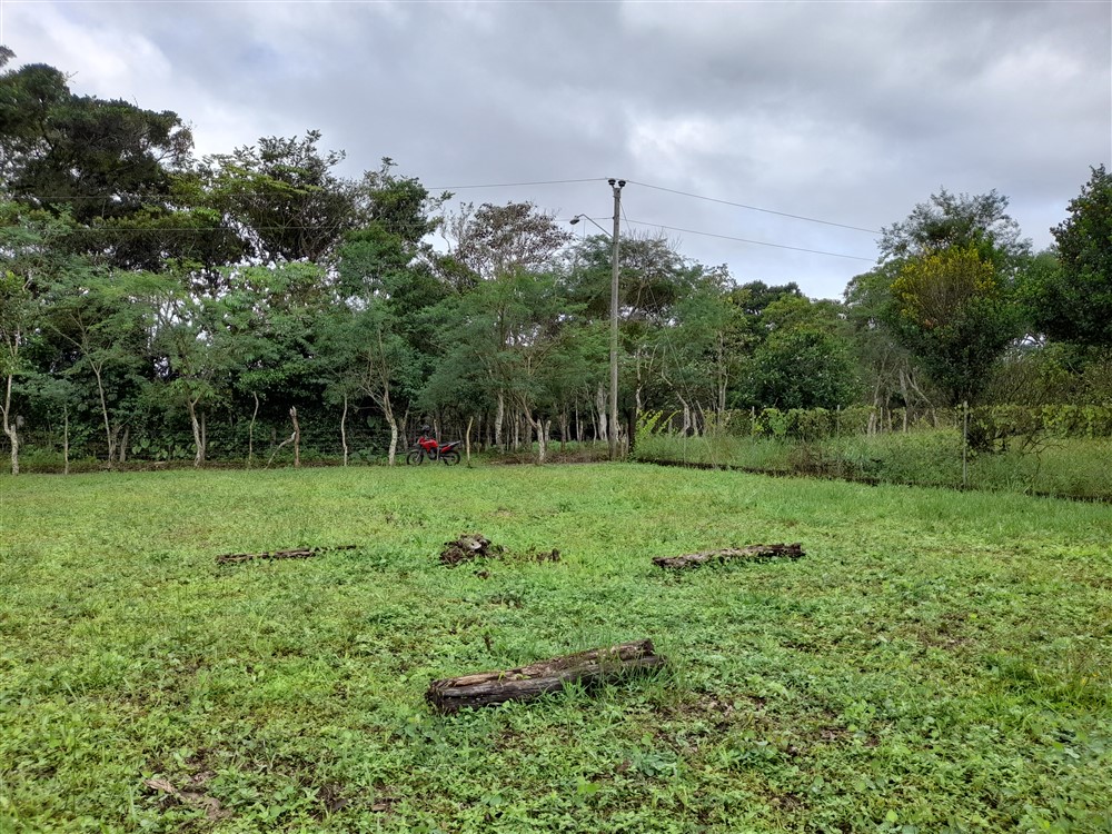 Flat Lot with Lovely Stream for Sale in Potrerillos Arriba, Chiriqui photo 6