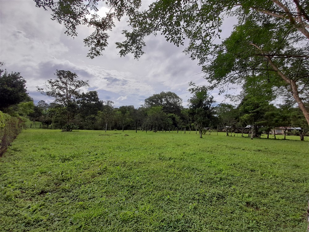 Flat Lot with Lovely Stream for Sale in Potrerillos Arriba, Chiriqui photo 8