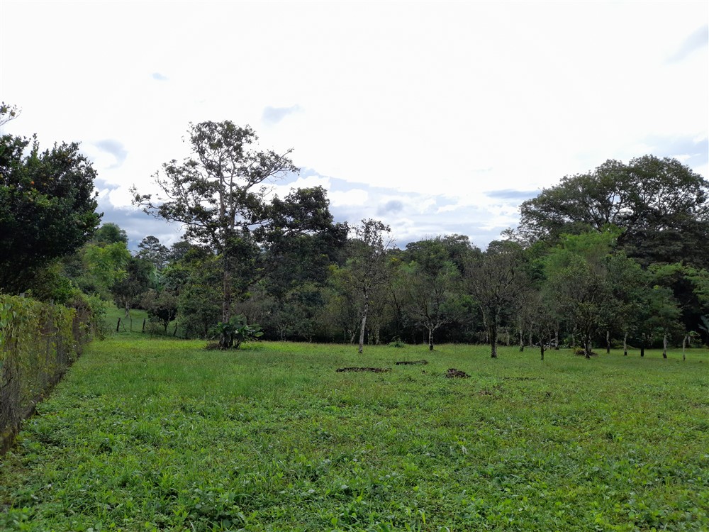 Flat Lot with Lovely Stream for Sale in Potrerillos Arriba, Chiriqui photo 9